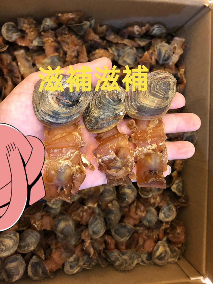 M size有蓋紅螺頭