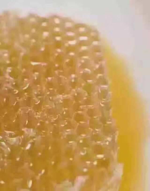 澳洲有機蜂巢