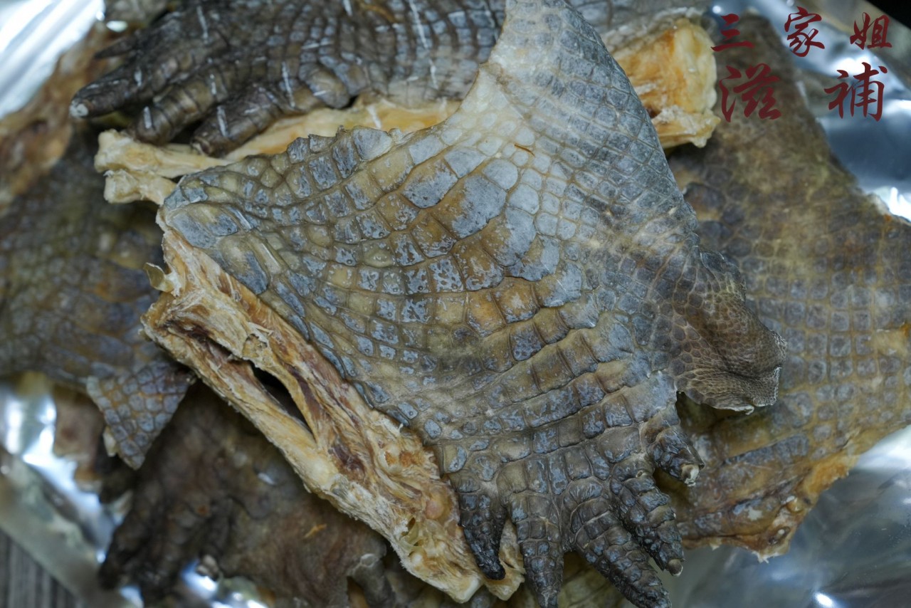 鱷魚掌