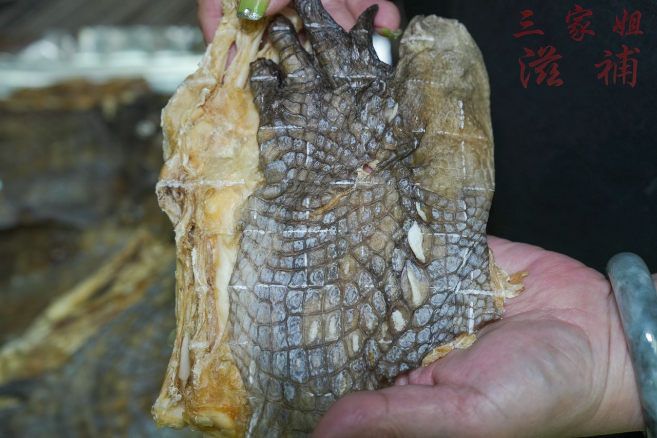 鱷魚掌