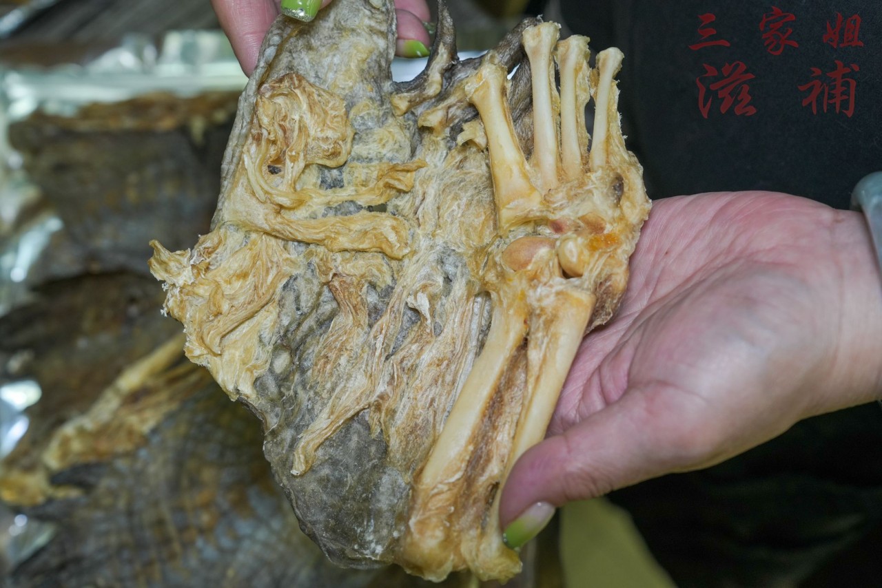 鱷魚掌