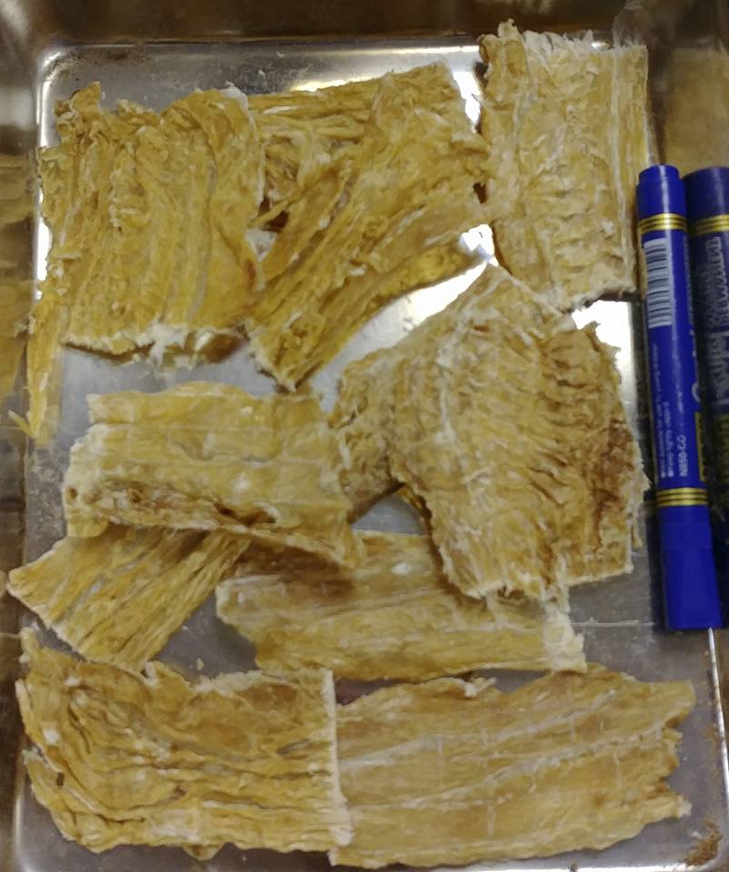 鱷魚肉補肺氣管湯