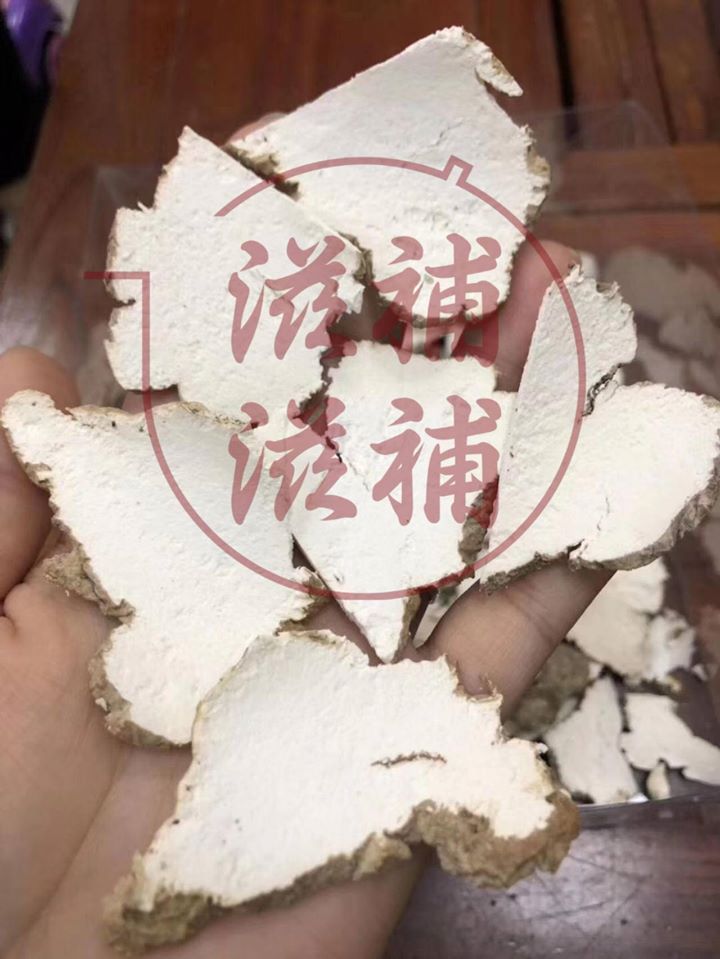 虎乳靈芝