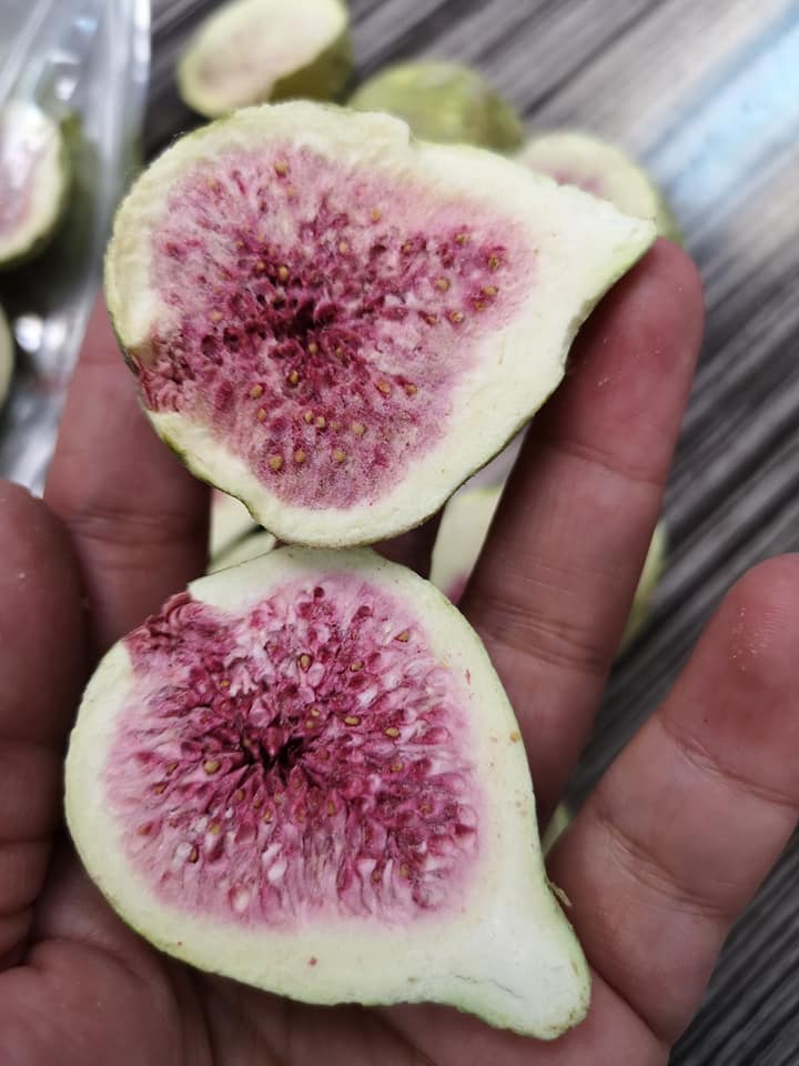 即食無花果