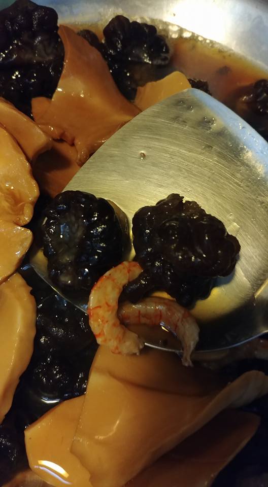 摺疊菌