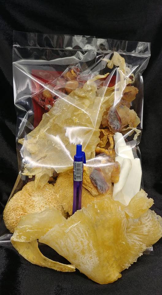 姬松茸猴頭菇花膠响螺淮杞湯