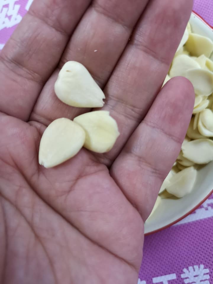 龍皇南北杏