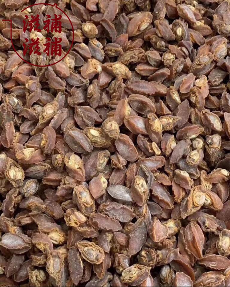 印尼原色鲍鱼(只)