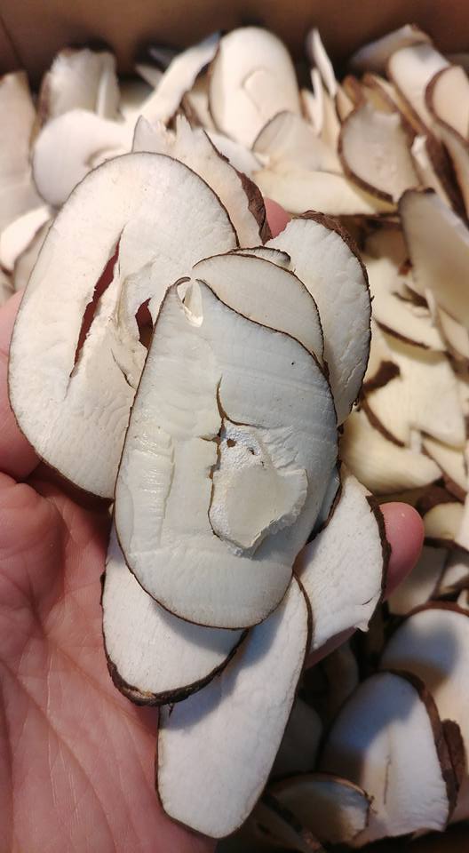 椰片