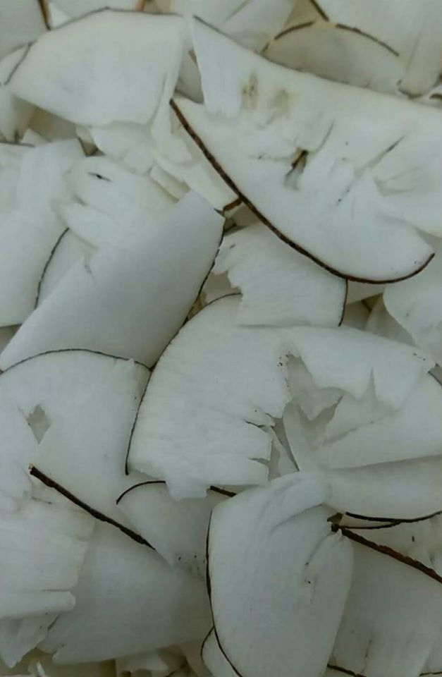 正宗海底椰(碎)