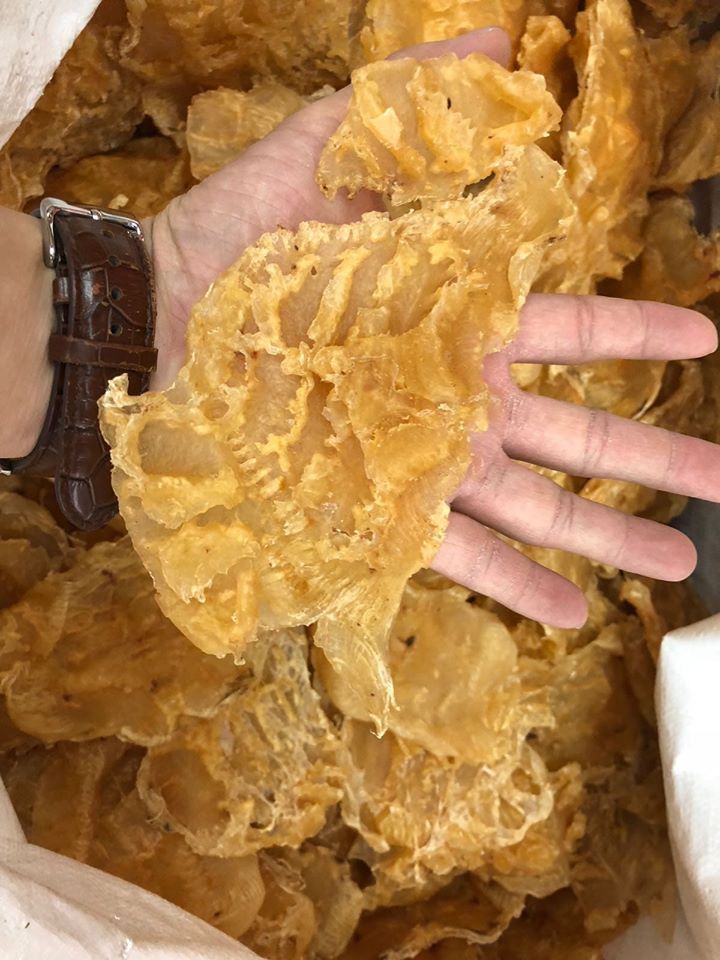 2x頭赤魚膠