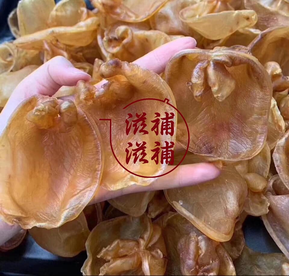 25頭老黃花膠