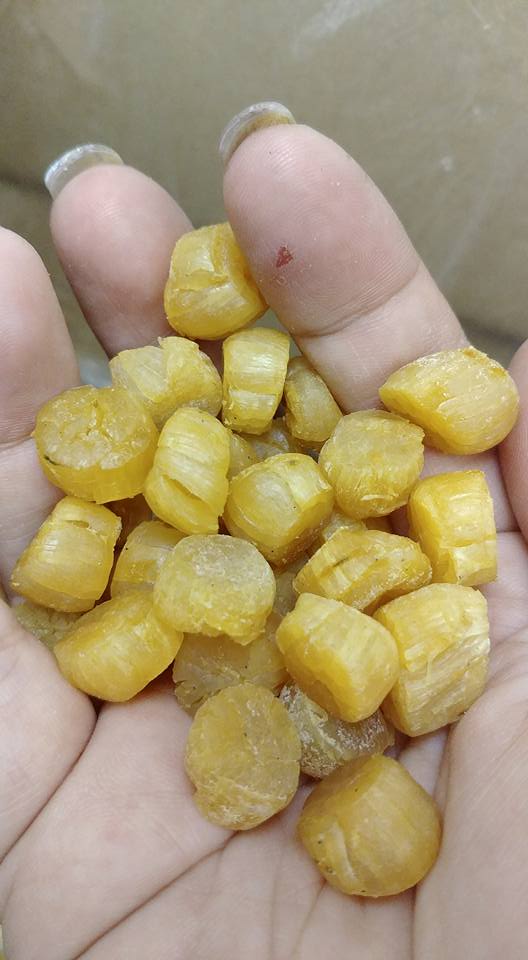 細瑤柱