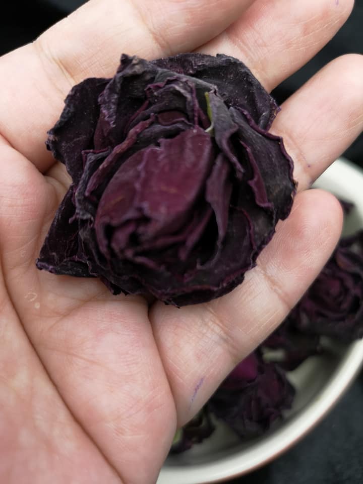 墨紅玫瑰