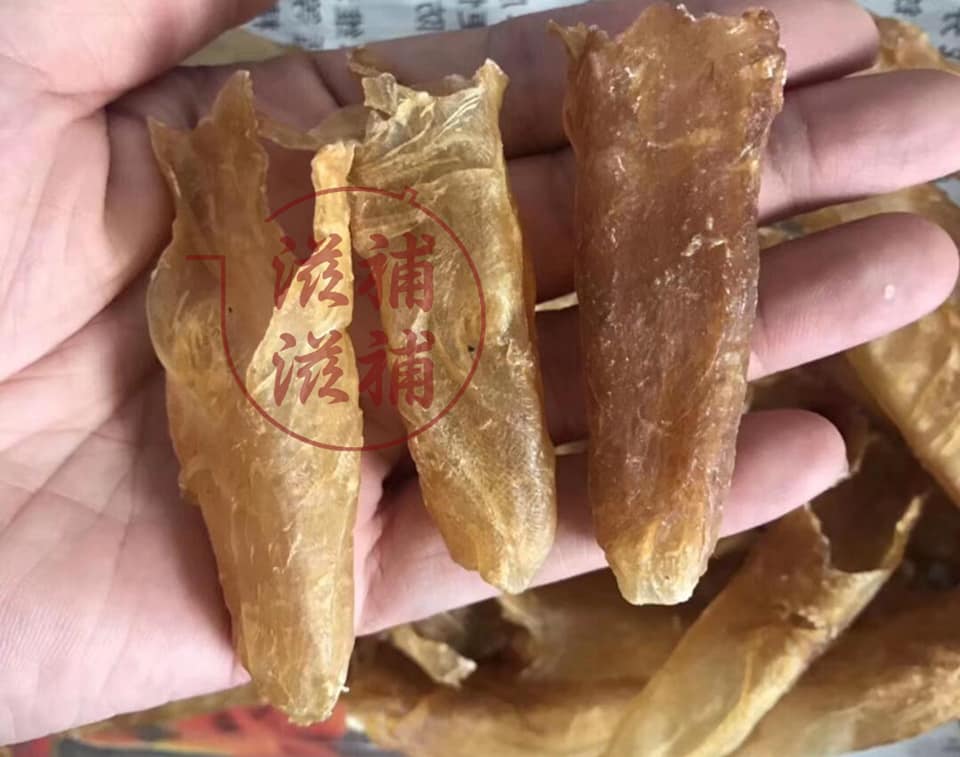 泰國老花膠筒