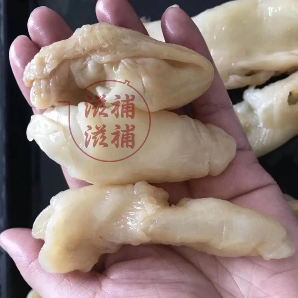 泰國老花膠筒