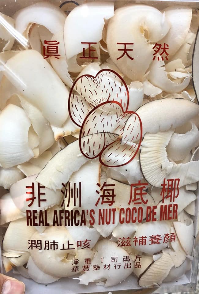 正宗海底椰