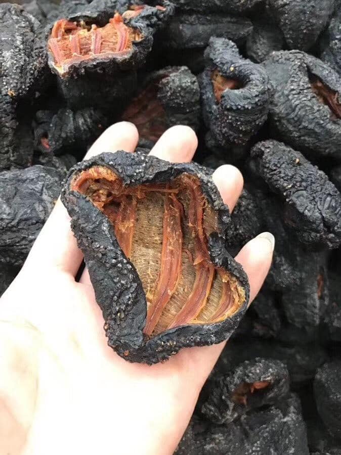 加拿大海參