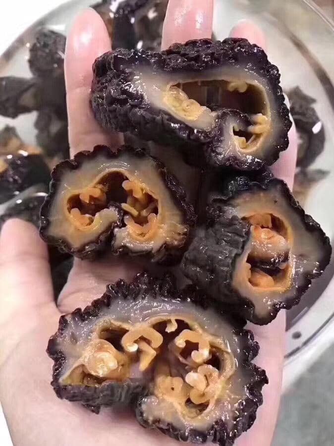 加拿大海參