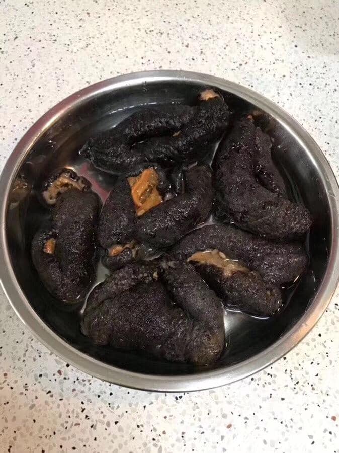 加拿大海參