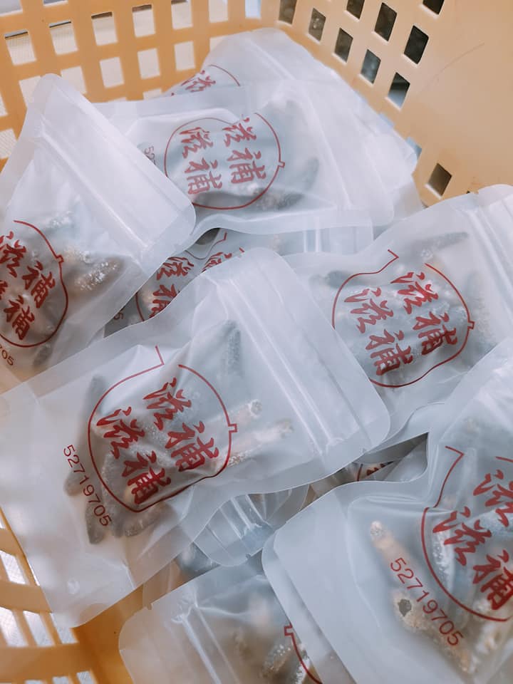 斯里蘭卡海參仔 $40/一份 （約16-19隻）
