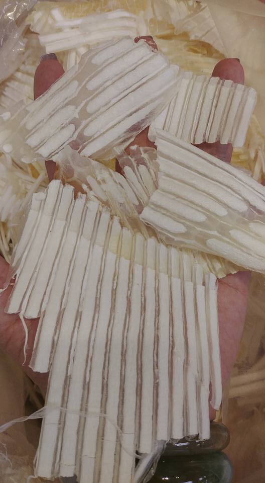 牙揀翅骨