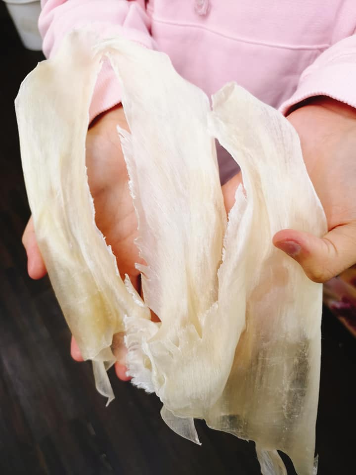 魚翅針