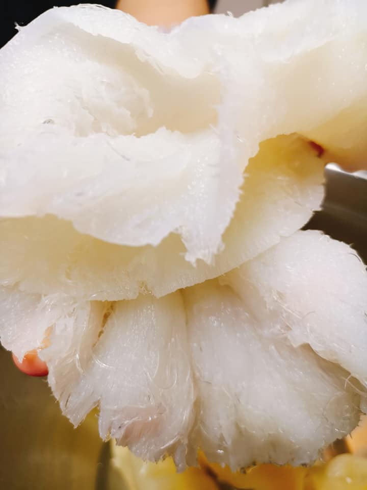 魚翅針