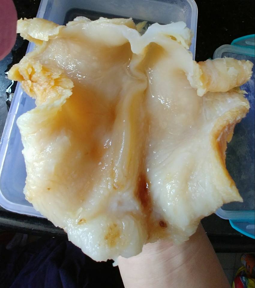 牙揀魚唇