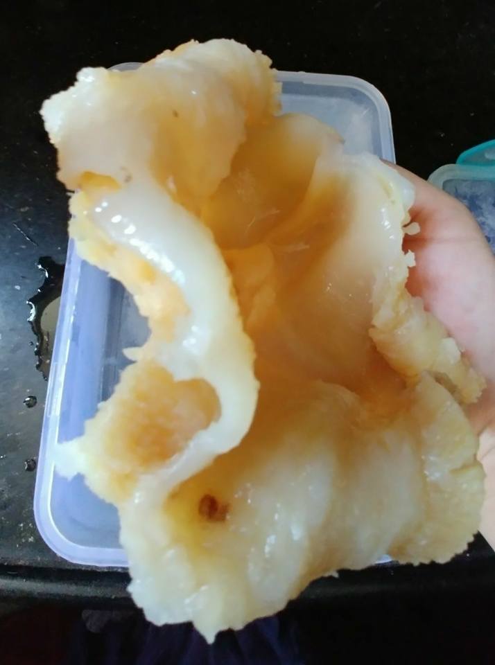 牙揀魚唇
