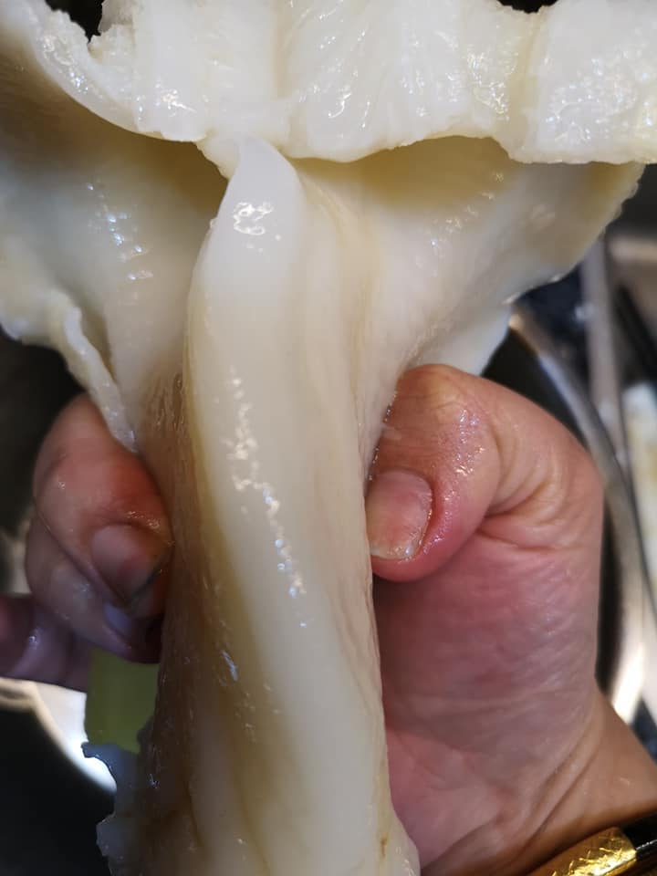 深海魚唇
