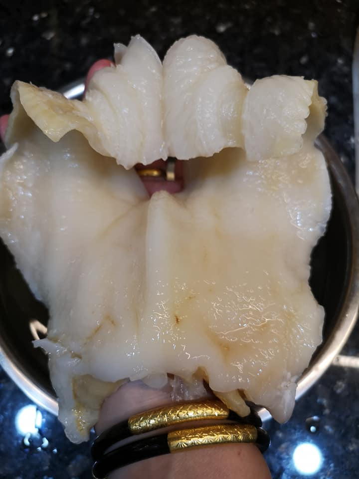 深海魚唇