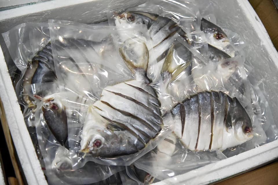 一夜情[金鯧魚]