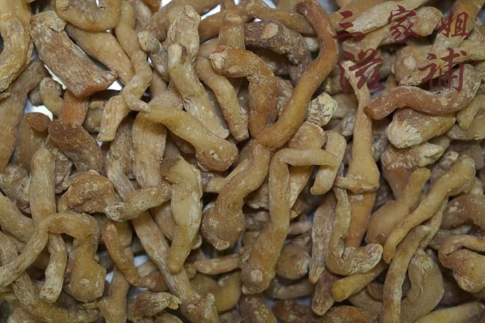 野生玉竹頭