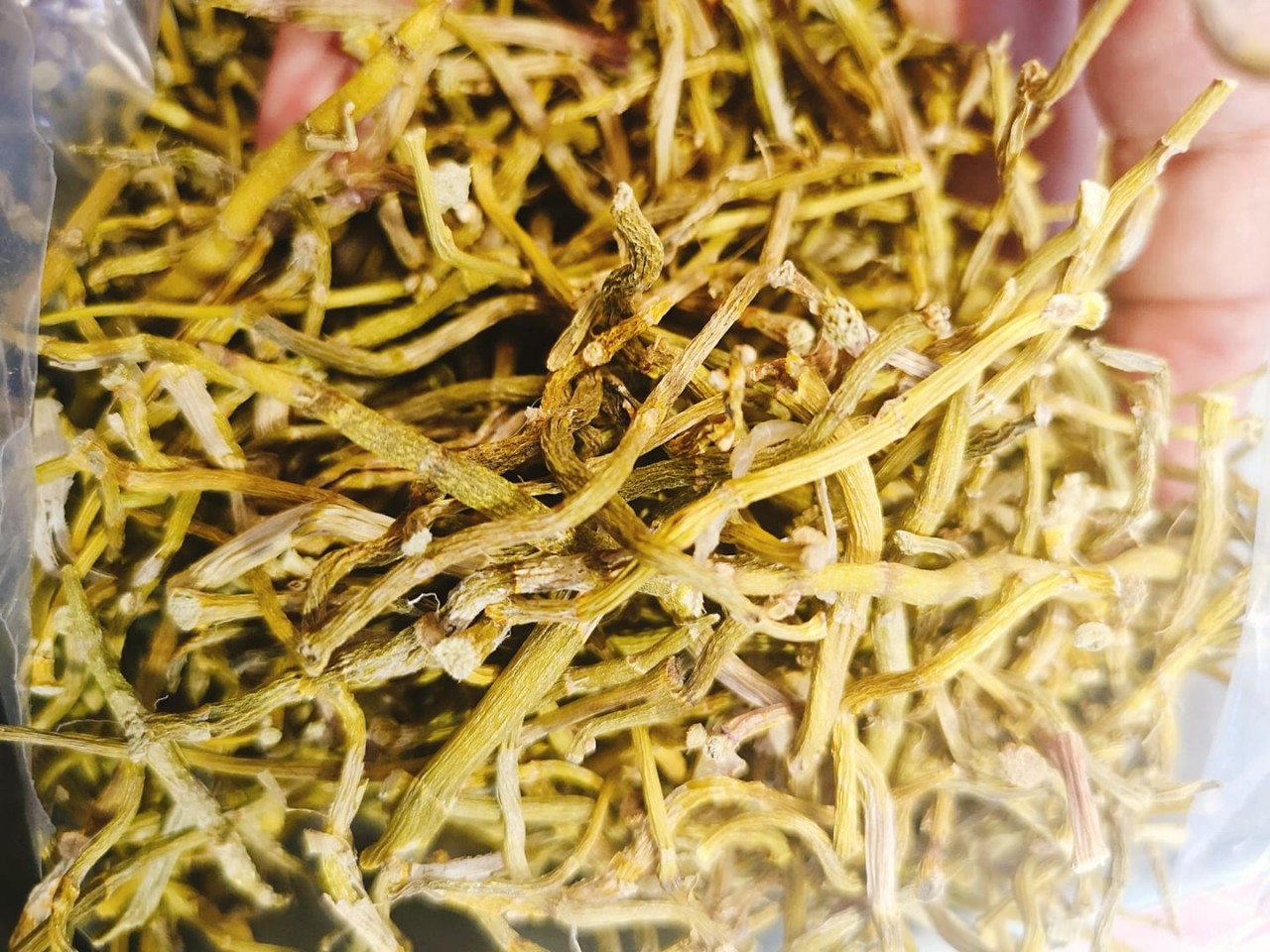 精選鐵皮石斛