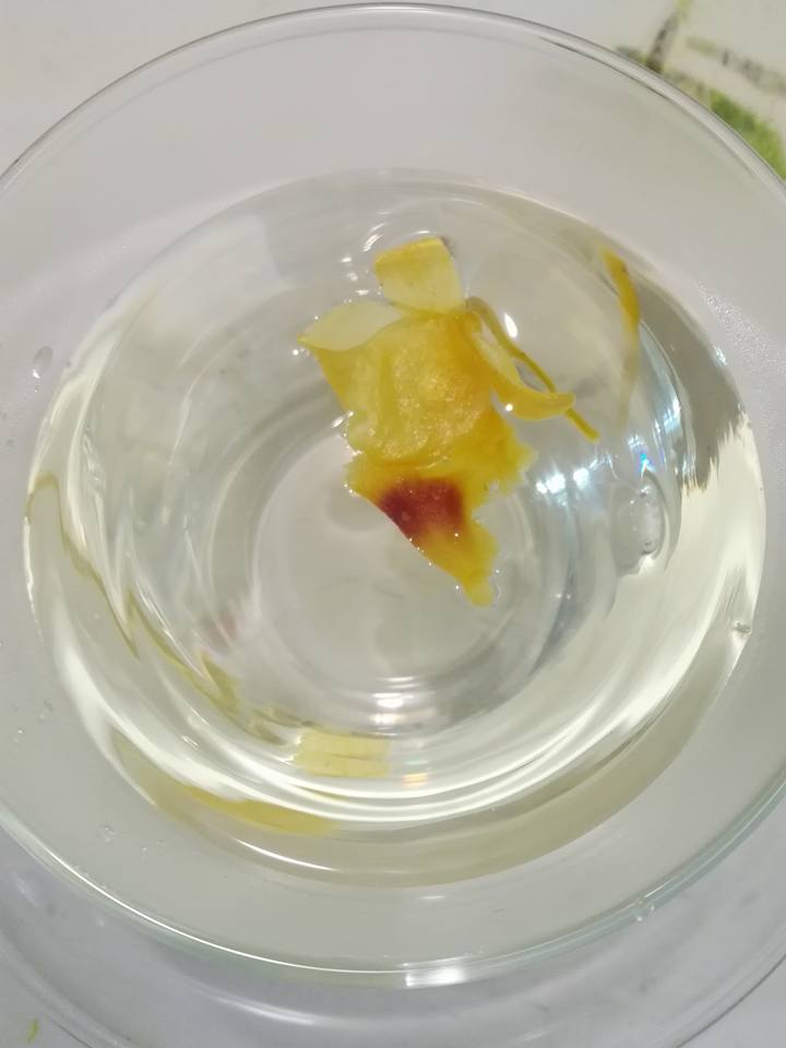 石斛花茶