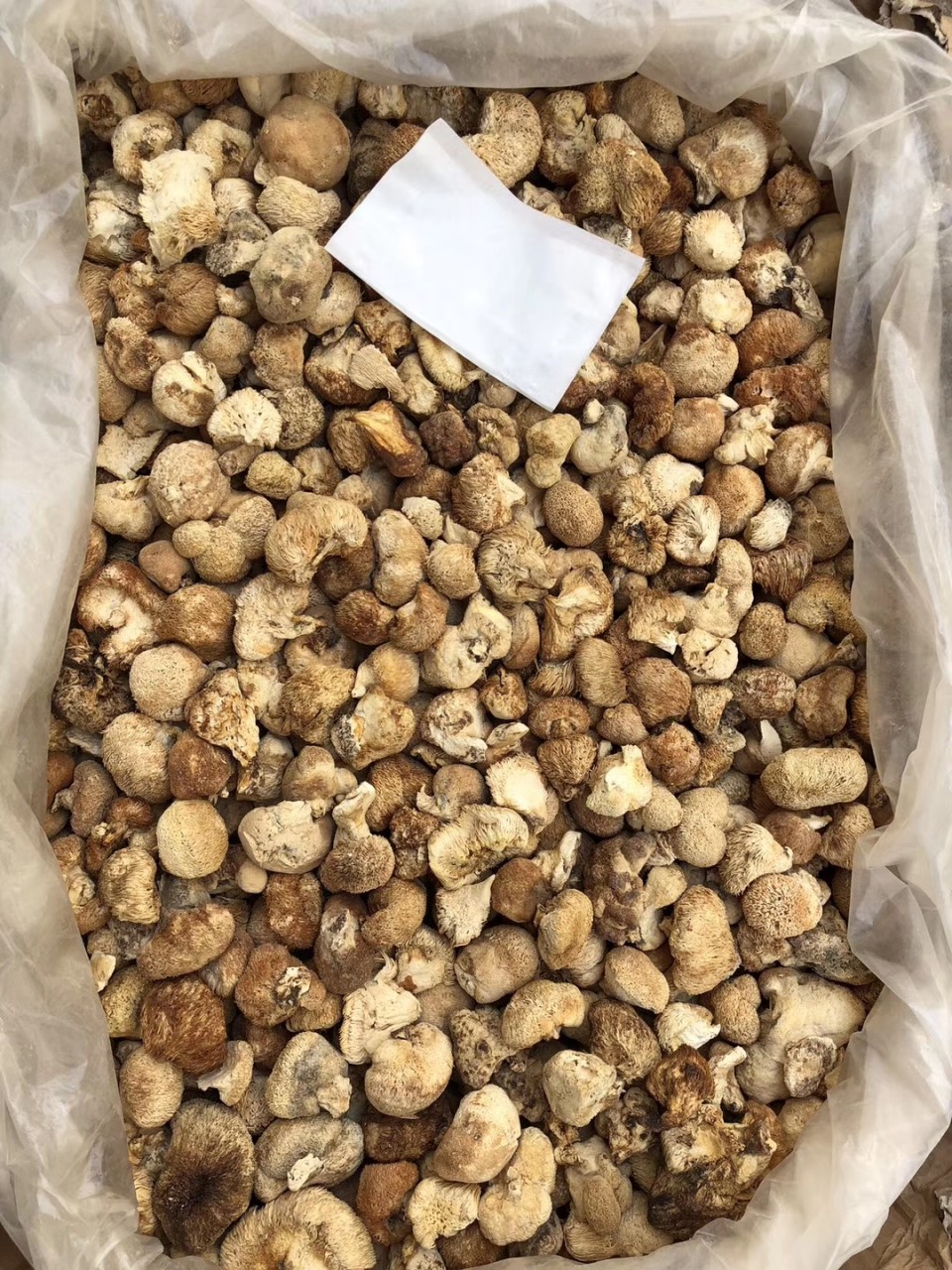 小猴頭菇