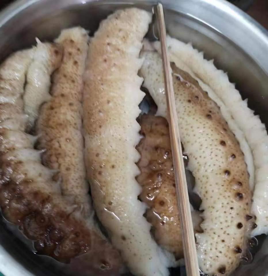 西非黃玉參