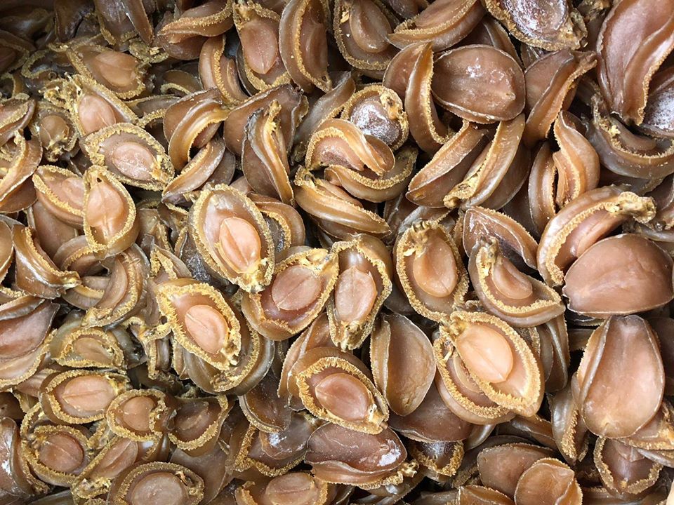 超老身南非吉品溏心鮑魚(100克）（約26-30隻）