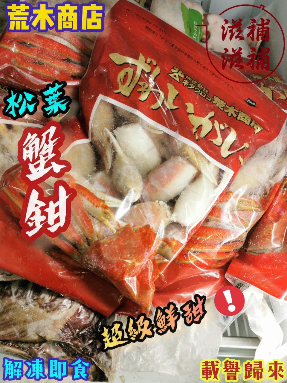 北海道熟松葉蟹鉗