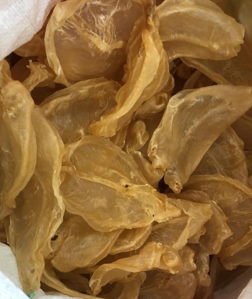 21頭 鴨巴膠