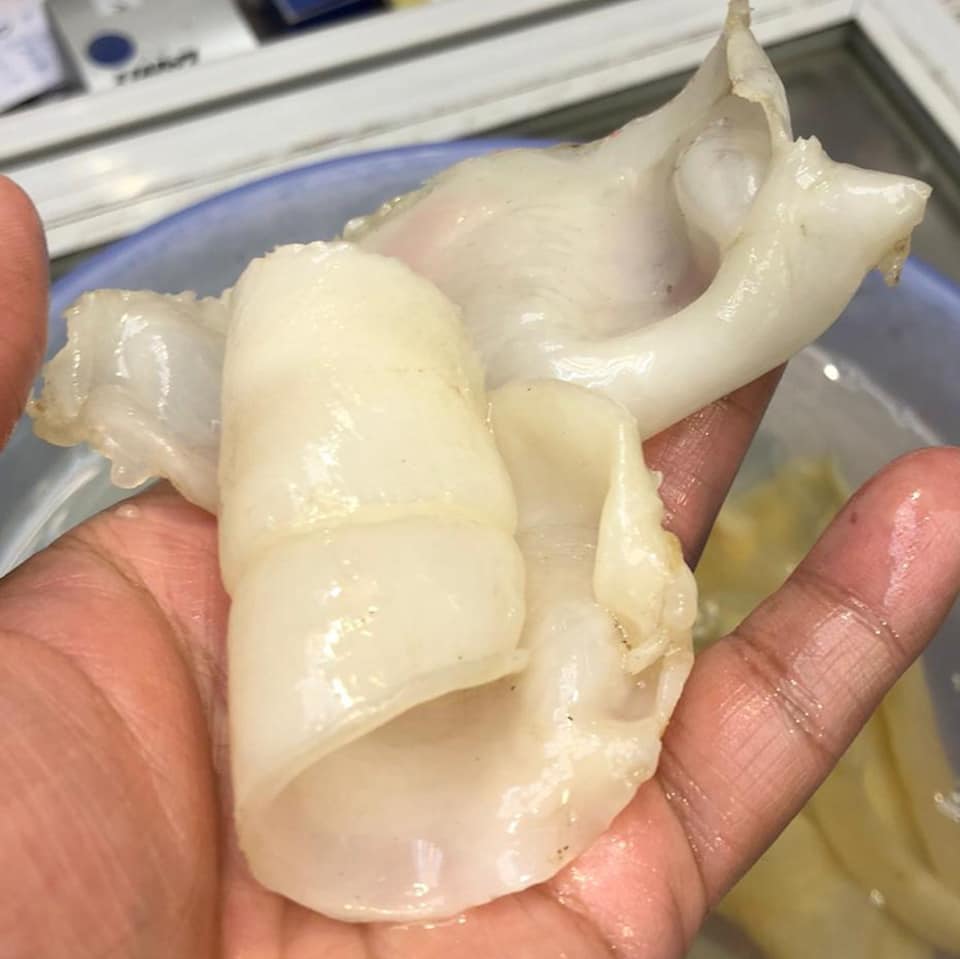 野生白花膠