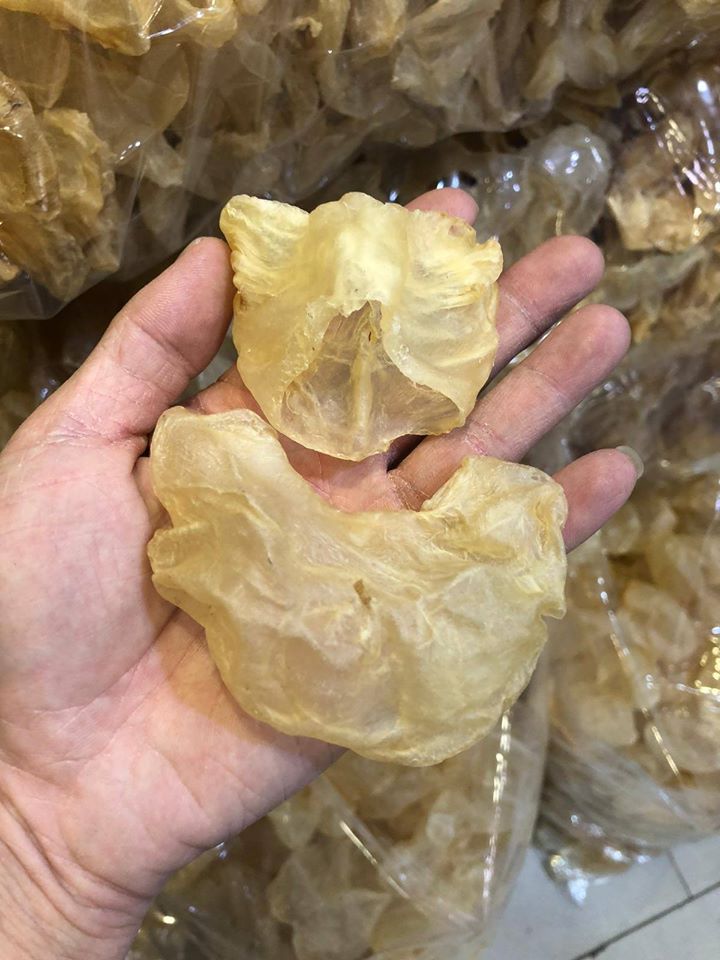 雞泡膠