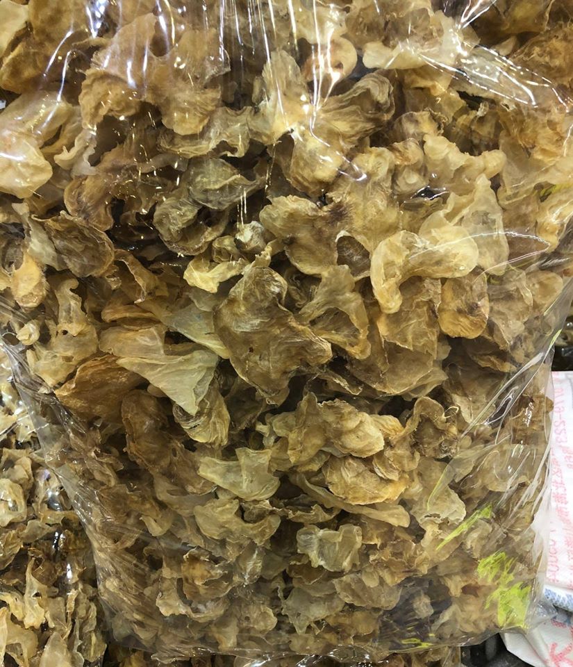 雞泡膠