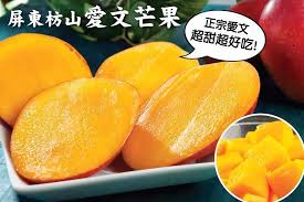 台灣正宗屏東枋山愛文芒果