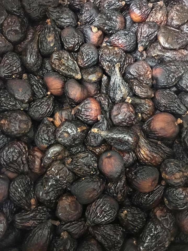 美國紫無花果
