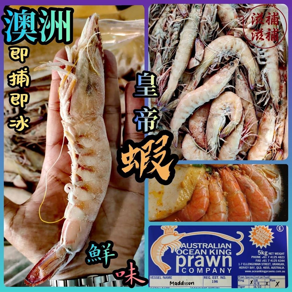 澳洲皇帝蝦