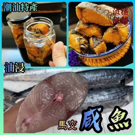 油浸馬交鹹魚