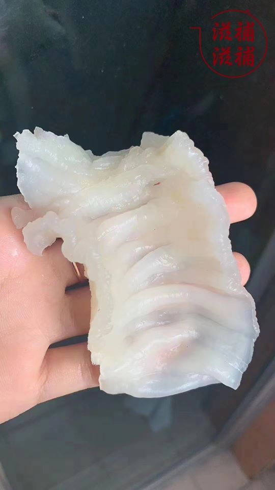 泰國斗湖花膠