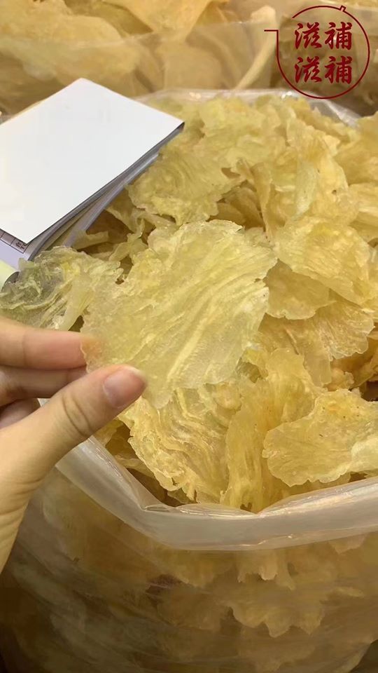 泰國斗湖花膠